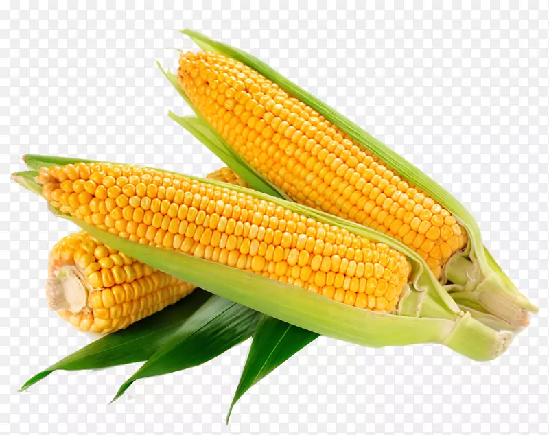 糯玉米对玉米芯甜玉米穗黄色玉米