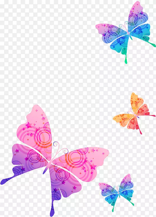 蝴蝶-美丽的紫色蝴蝶轮廓