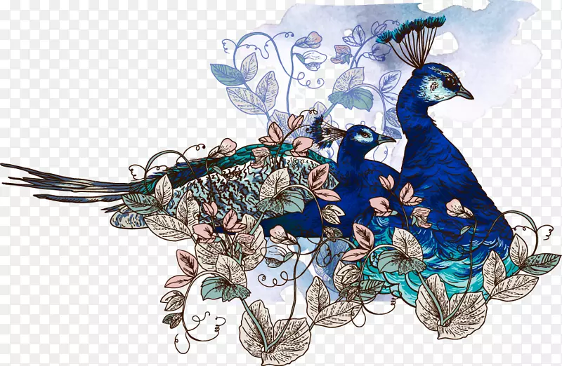 鸟类纸孔雀插图-美丽的水彩孔雀