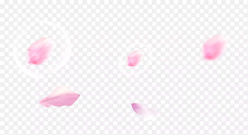 花瓣心型-粉红色桃花花瓣漂浮材料