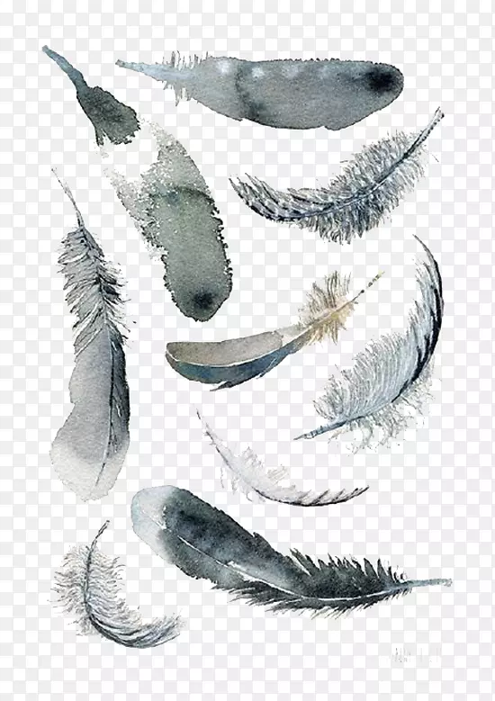 纸鸟羽毛现代水彩：水彩画的嬉戏与当代探索-羽毛背景