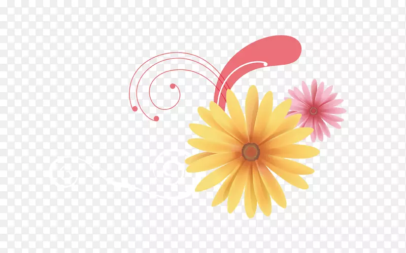 大丽花黄花瓣图案-装饰性菊花