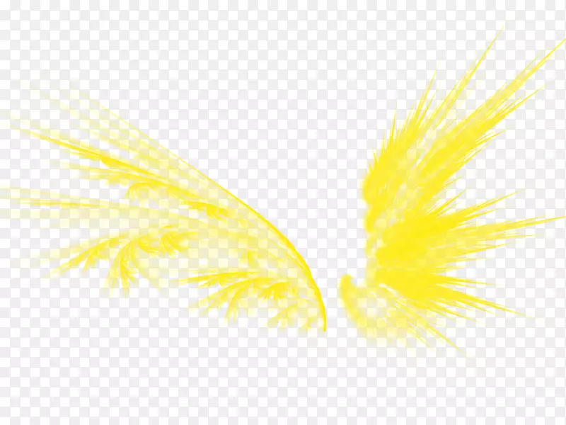 平面设计黄色图案-金色翅膀
