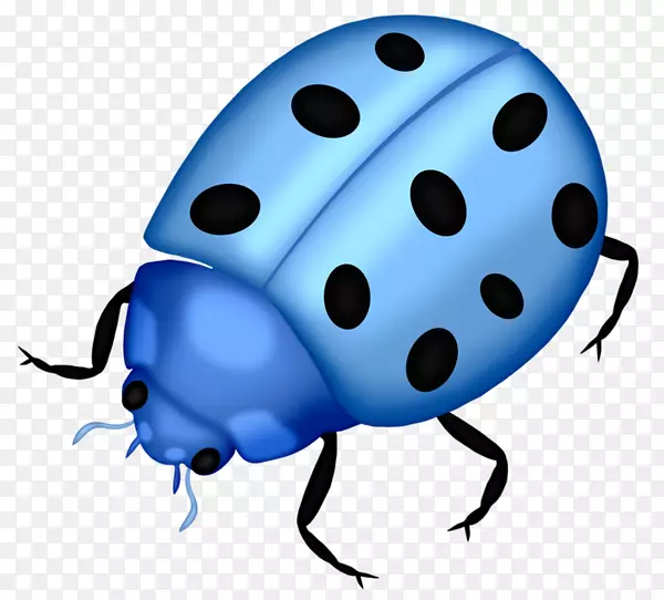 昆虫瓢虫剪贴画蓝瓢虫
