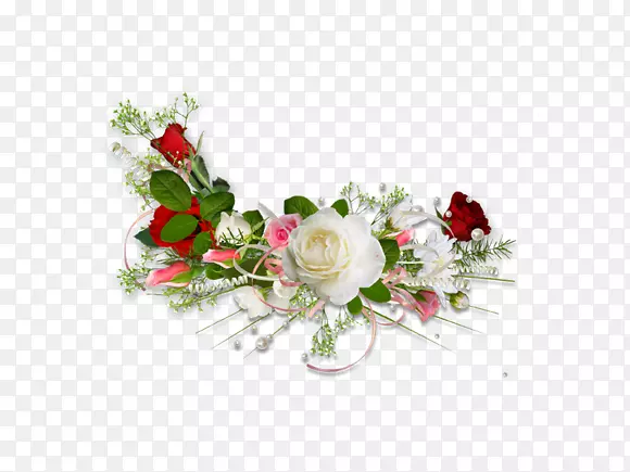 花卉摄影花园玫瑰剪贴画-美丽的新鲜绿色红玫瑰和白玫瑰