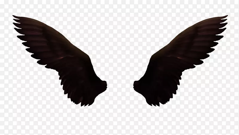 图标-黑暗的翅膀