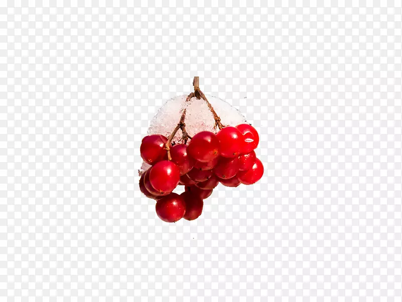 蔓越莓樱桃身穿透珠宝-雪浆果