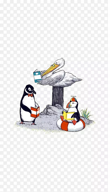 企鹅海鸟插图-企鹅和海鸟