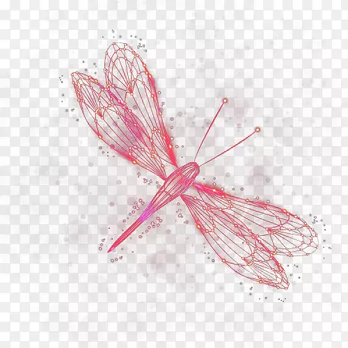 蝴蝶蛾图案-红蜻蜓