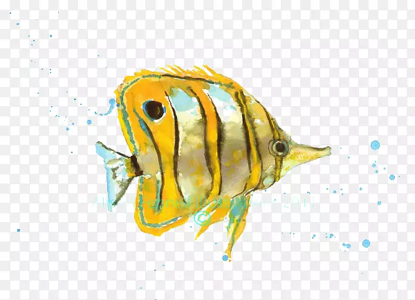 水彩画热带鱼艺术.吻黄鱼图片材料