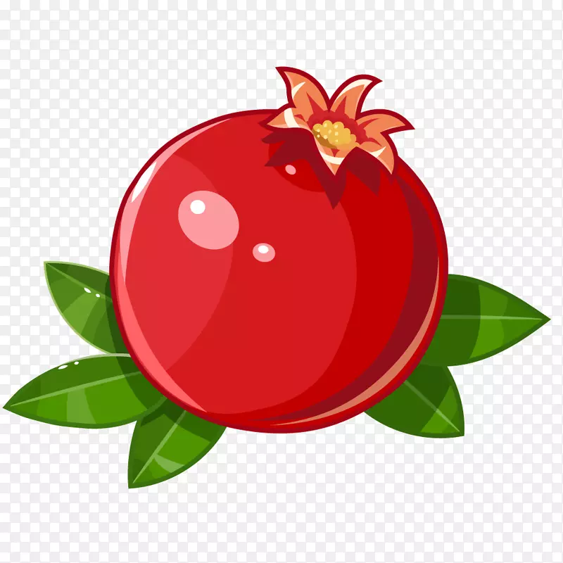 果汁石榴果品图例-鲜红石榴果