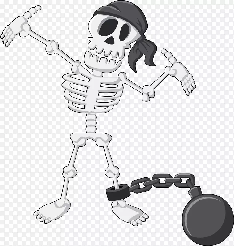 人类骨骼头盖骨海盗头骨