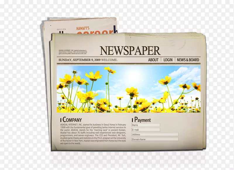 报纸印刷花-报纸向日葵