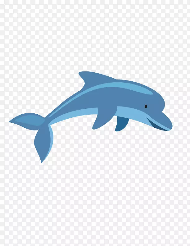 普通宽吻海豚图库溪-可爱海豚
