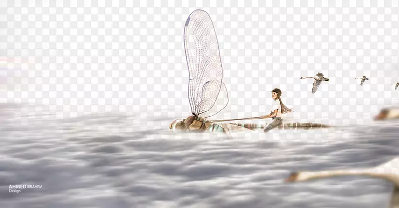 地板水海壁纸-人骑蜻蜓创意形象