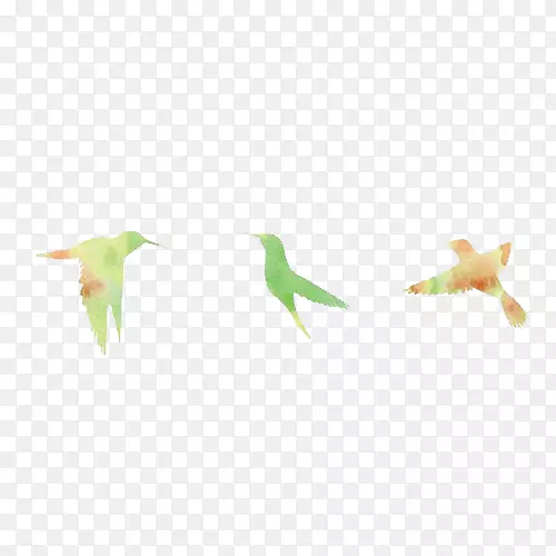 绿色喙面角型-黄鹅和绿鹅