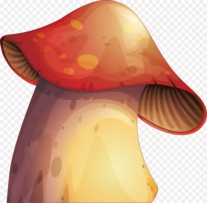 蘑菇真菌插图.手绘装饰蘑菇