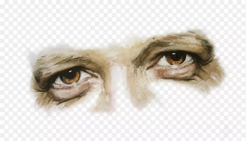 眉毛水彩画艺术家小学生-创造性手绘男子的眼睛