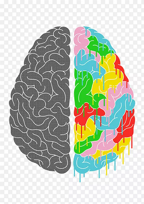 脑功能侧面化人脑海报.数学透明图片