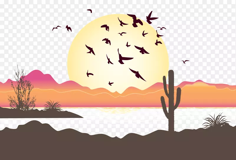 鸟类飞行图.沙漠日落