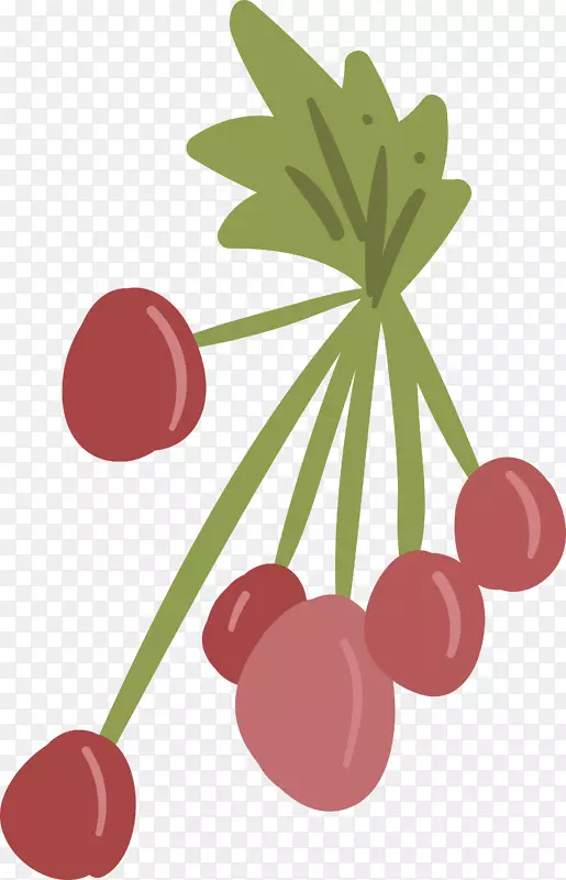 弗鲁蒂·迪博斯科樱桃浆果-卡通浆果