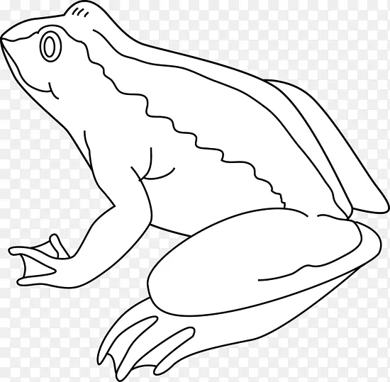 青蛙黑白剪贴画-凹凸不平的青蛙剪贴画