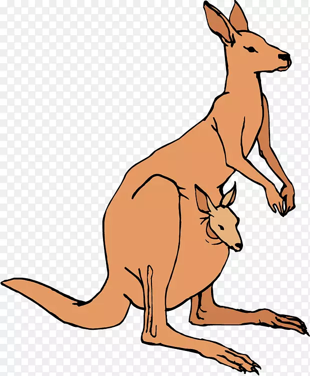 澳大利亚袋鼠剪贴画-跳跃剪贴画