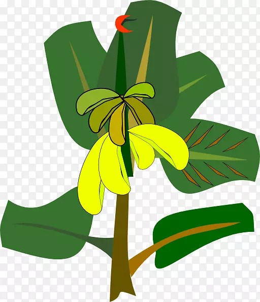 香蕉树剪贴画-香蕉图片