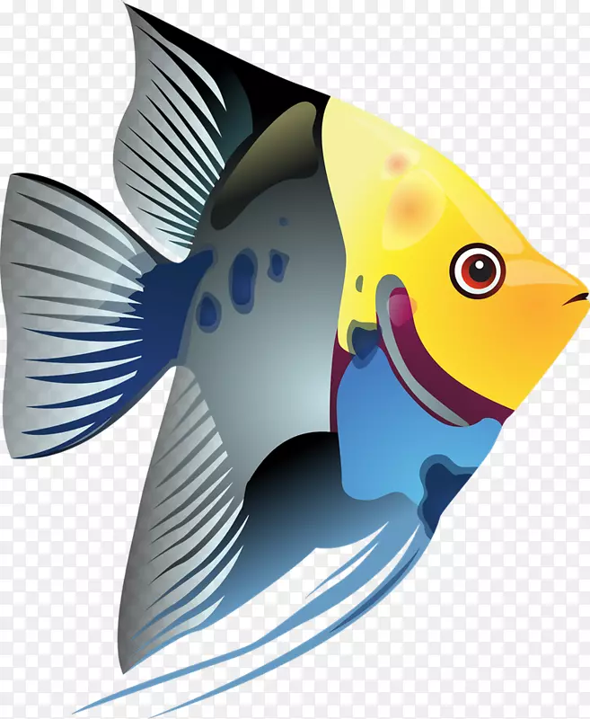 热带鱼剪贴画-热带鱼剪贴画