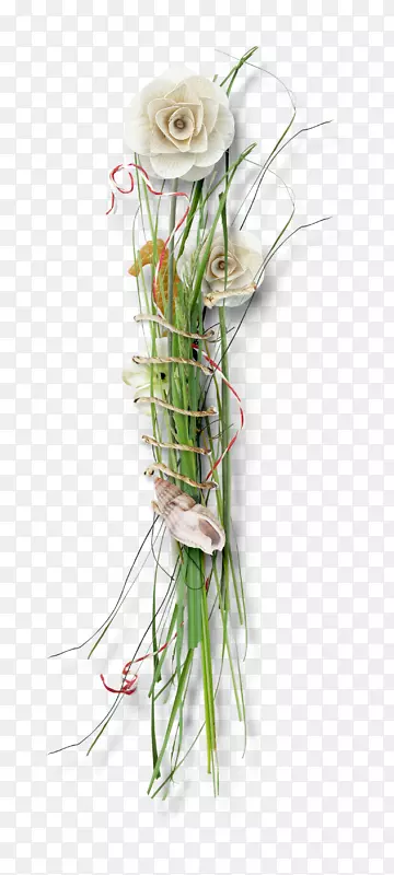 花卉设计海星-海星草花