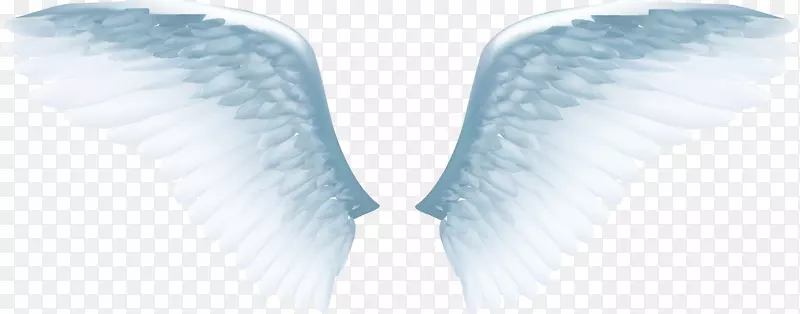 天使翅膀图标-精致的白色天使翅膀