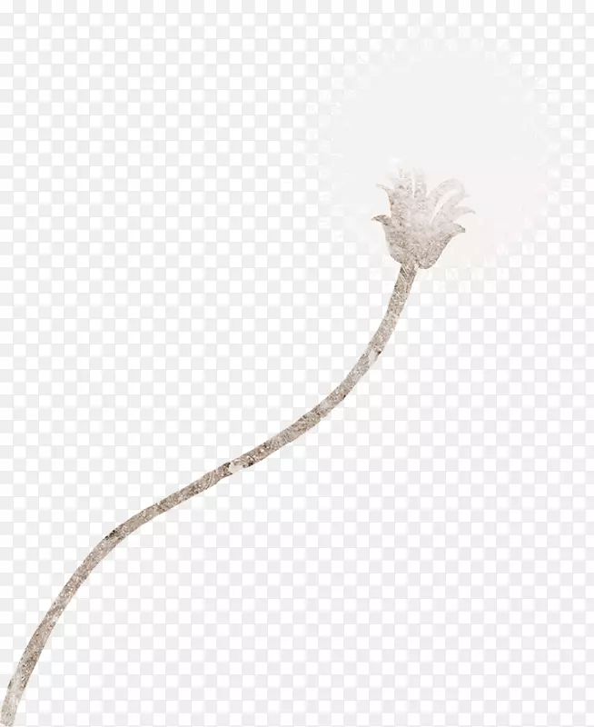 蒲公英卡通花卉-蒲公英装饰材料