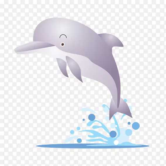 卡拉达格海豚剪贴画-紫色海豚