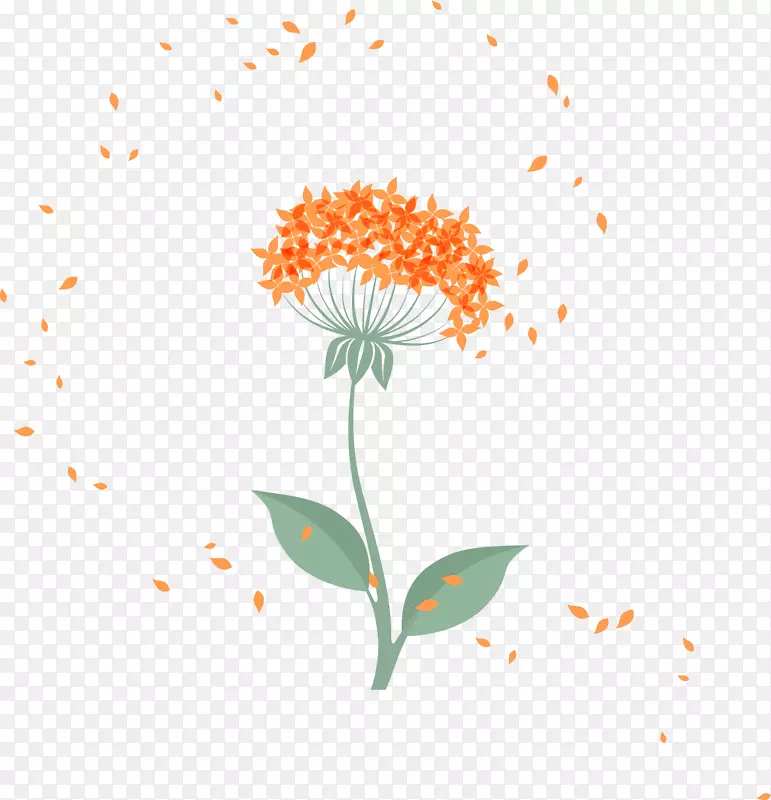 花卉花瓣设计卡通图蒲公英