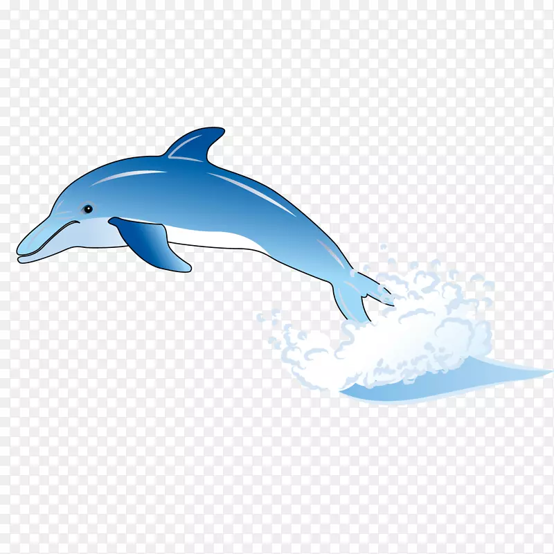 普通宽吻海豚图库溪短喙普通海豚可爱海豚