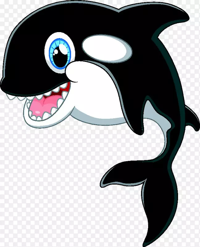 卡通虎鲸剪贴画-可爱的海豚
