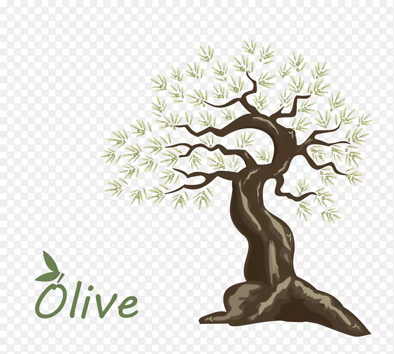 橄榄油树-手绘橄榄树