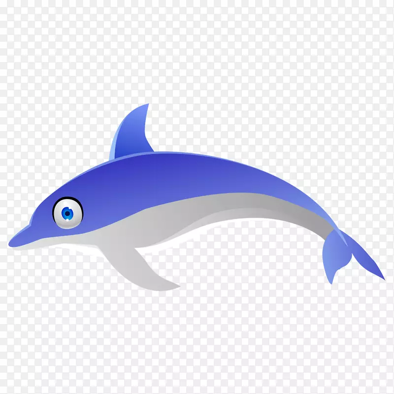 海豚-紫色海豚