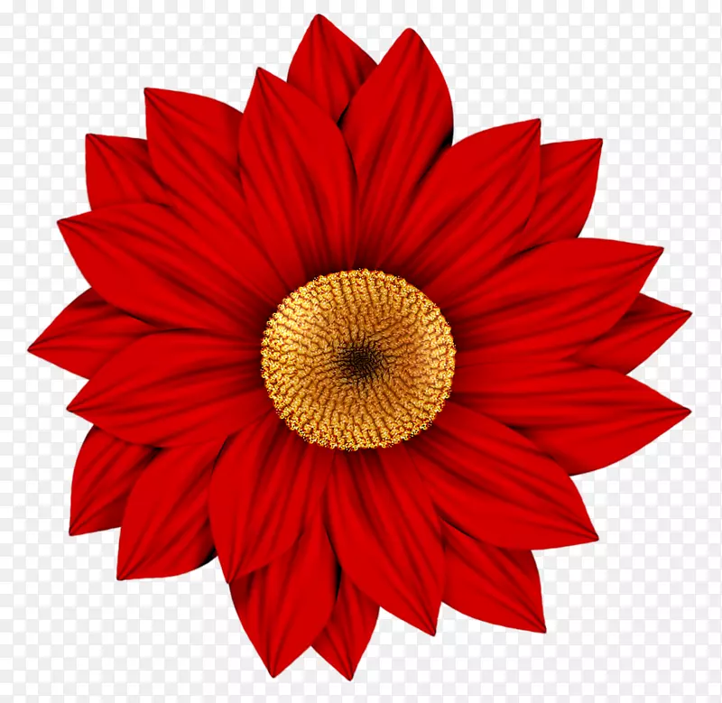 花特兰士瓦菊花画片艺术-红色向日葵