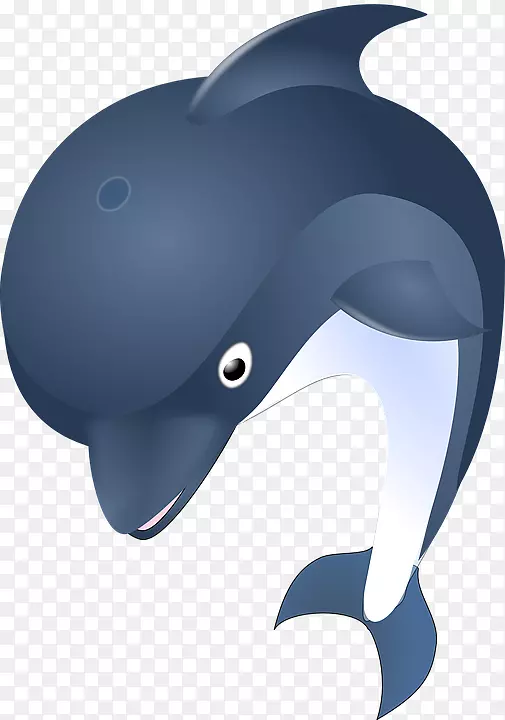 海豚剪贴画-可爱的海豚