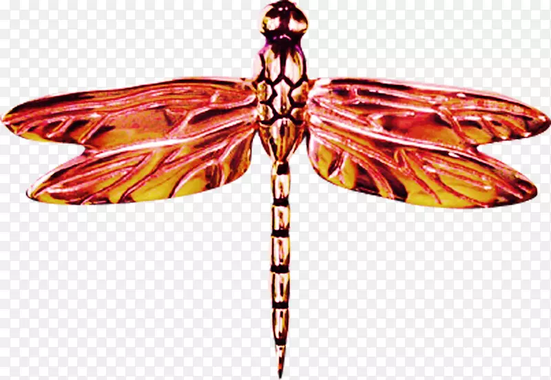 蝴蝶蜻蜓图标-红蜻蜓
