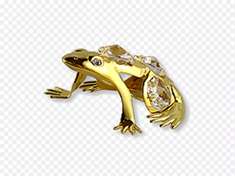 真蛙爬行动物金黄-金蛙