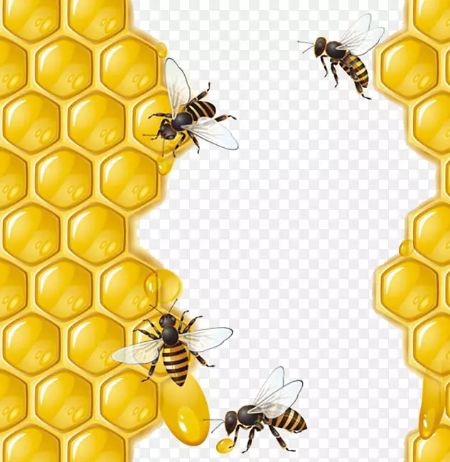 蜜蜂蜂巢-蜂蜜