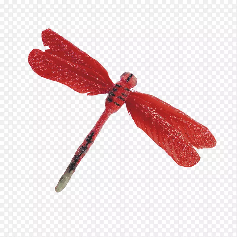 红蜻蜓图标-红蜻蜓