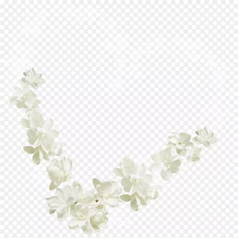 白色花瓣直角长方形白花