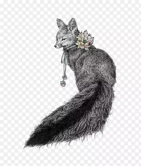 绘制狐狸插图-黑色狐狸