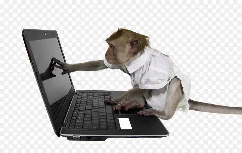 膝上型猴子测试计算机无限猴子定理-猩猩