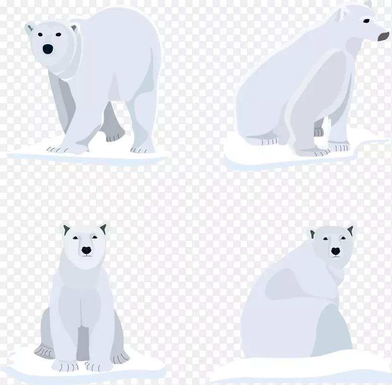 北极熊犬-北极熊上的冰