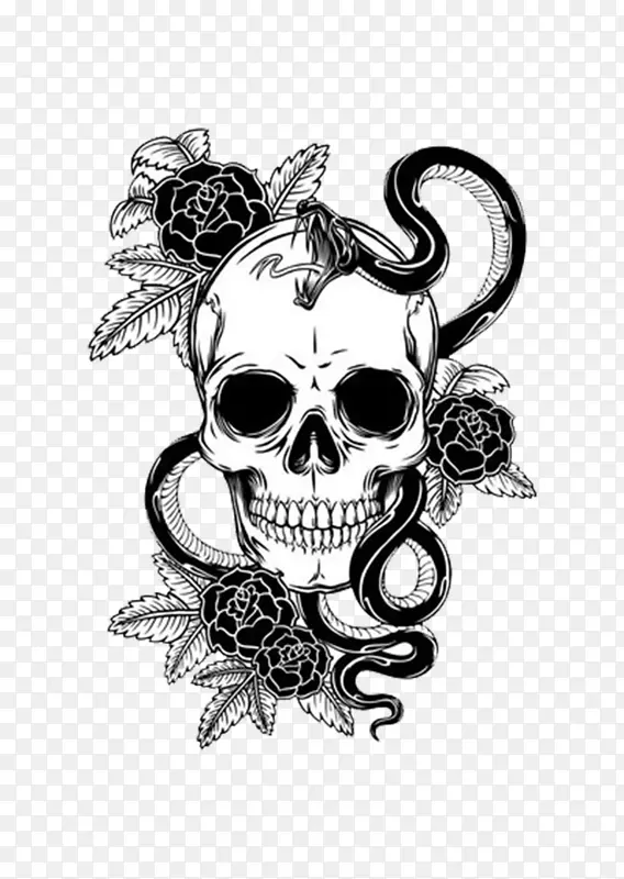 蛇骷髅头骨玫瑰手绘头骨蛇伤