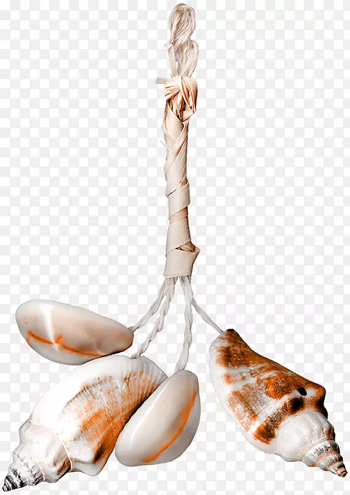 贻贝海蜗牛海鲜夹艺术.贝壳